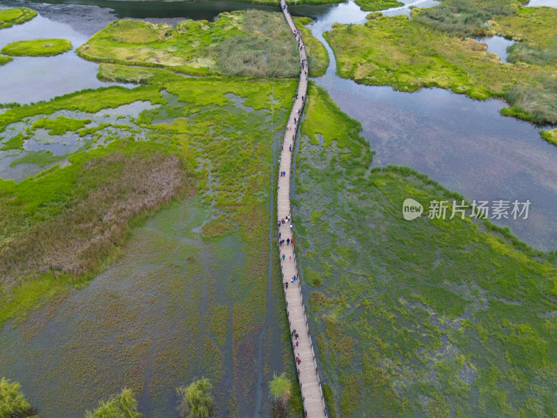 云南泸沽湖草海航拍