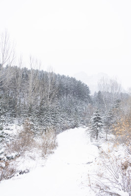 冬日大雪中的山路