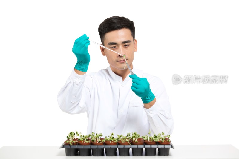 男科学家研究观察植物幼苗