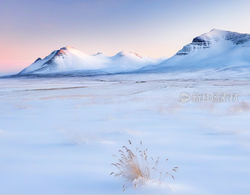 高山雪地