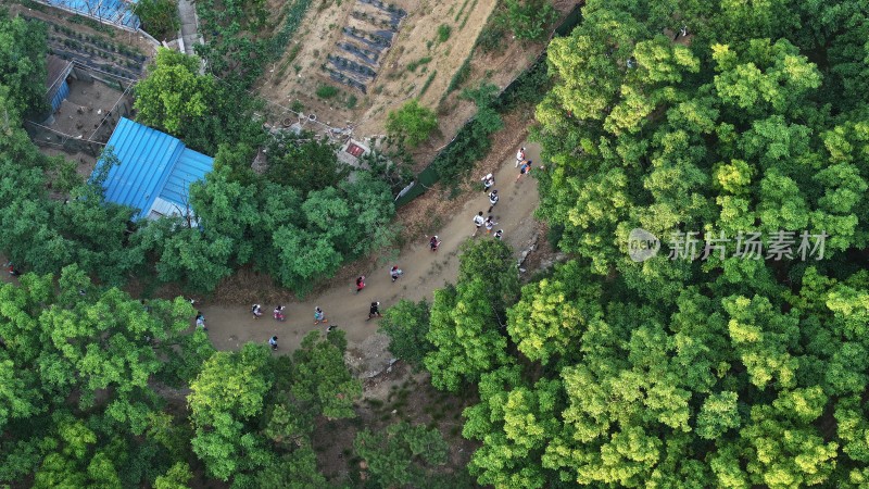 俯瞰威海100超级越野赛运动员穿行山野丛林