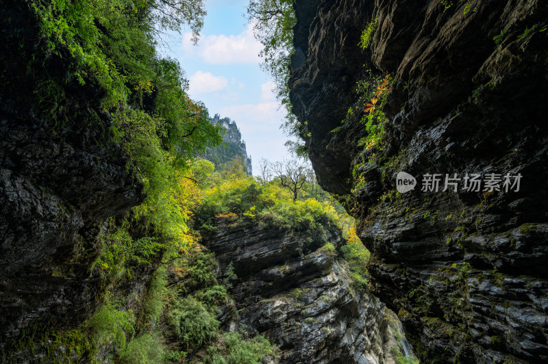 秋天陇南官鹅沟自然风景