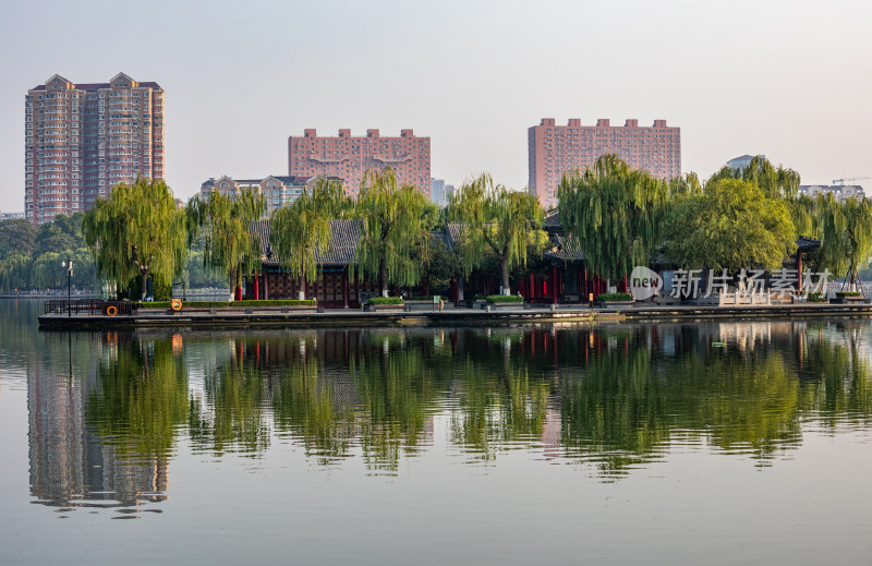 山东济南大明湖风景区自然景观与城市风光