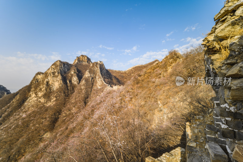 春天早晨北京明长城箭扣长城与山杏花