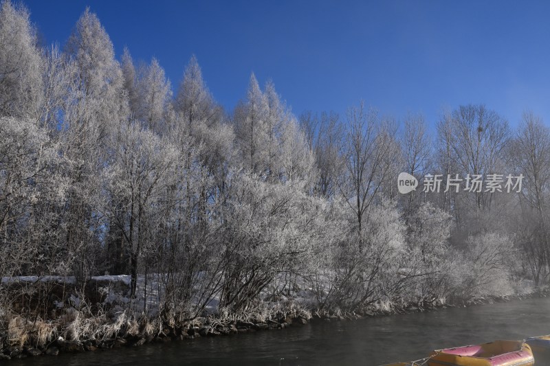 河岸树木挂满雾凇的冬日美景