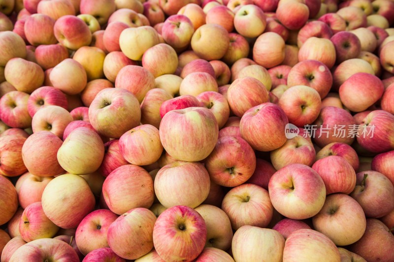辽宁锦州苹果