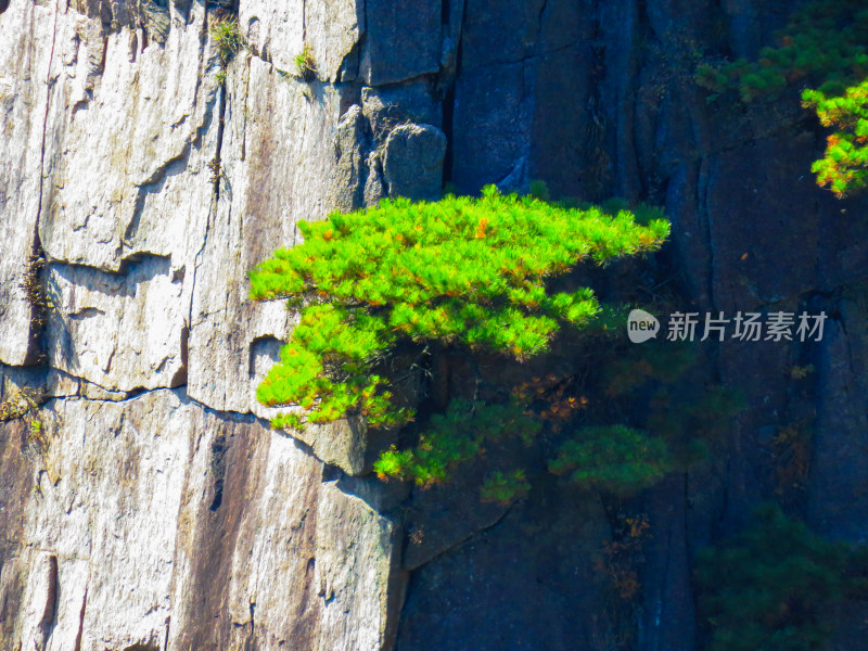 中国安徽黄山旅游风光