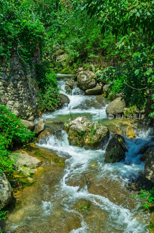 陕西秦岭山间溪流与绿植景观