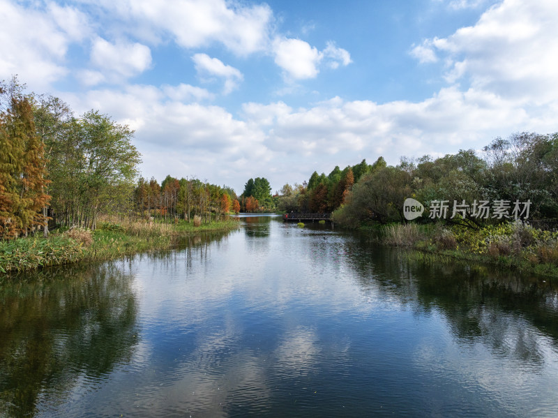 宁波植物园水杉池杉秋天红了