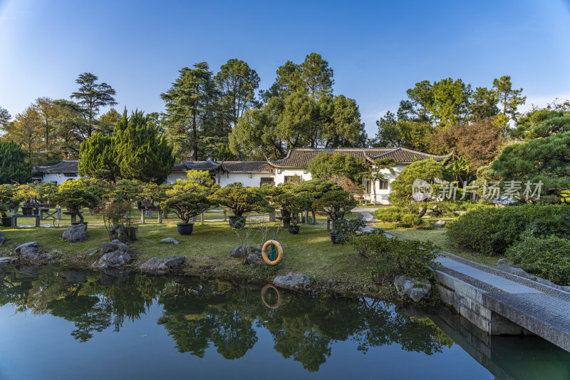 杭州西子湖畔杭州花圃风景