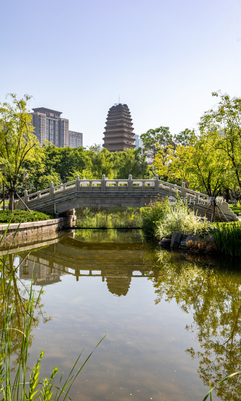 陕西西安小雁塔遗址公园西安博物馆景点景观