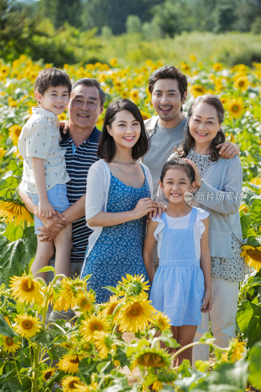 站在向日葵花海里的幸福家庭