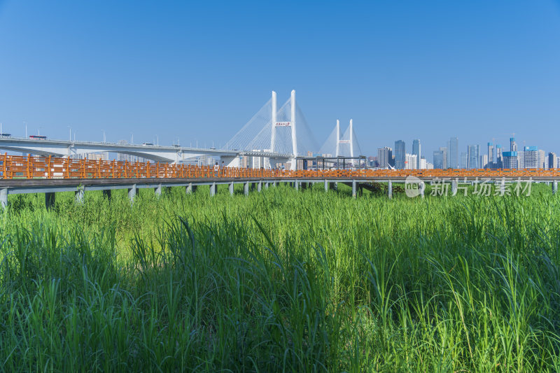 武汉汉口江滩公园风景