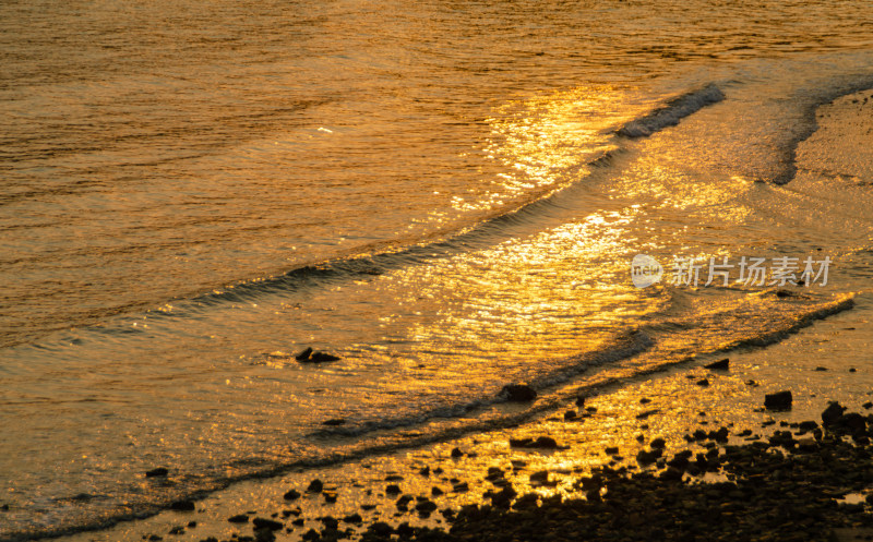 夕阳下闪着金光的海浪