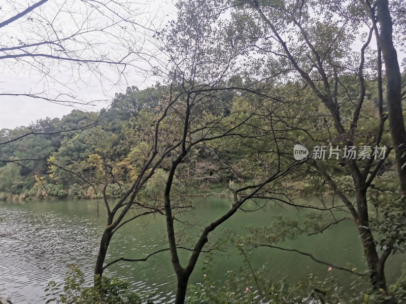 西湖风景名胜区乌龟潭景区内