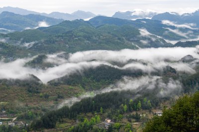 重庆酉阳：雾漫缭绕美青山