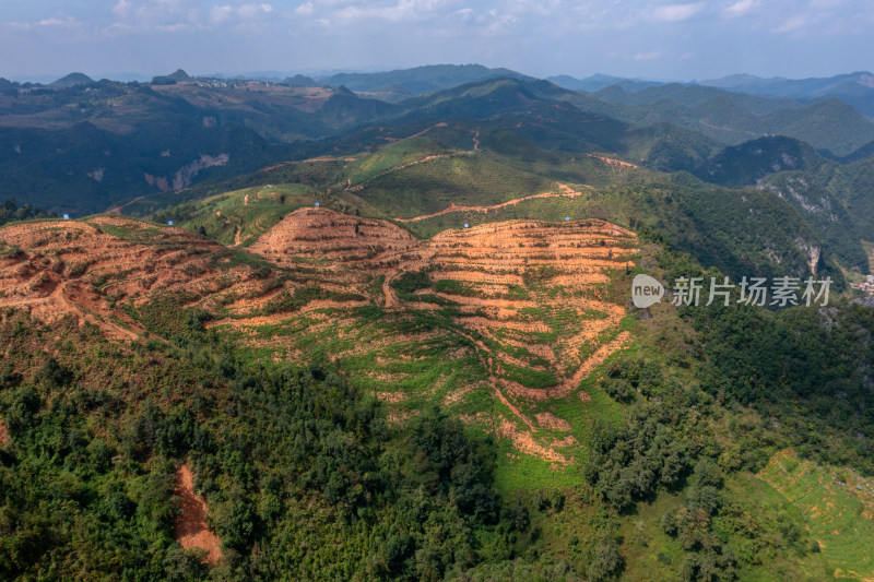 山坡上的梯田