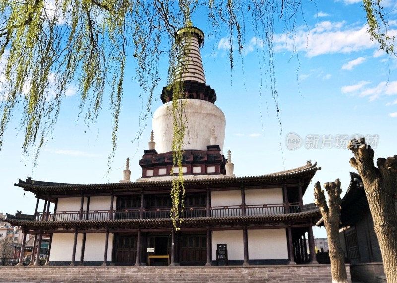 张掖大佛寺古建筑旁的佛像与白塔景观