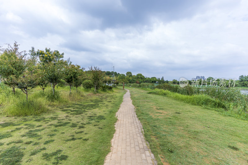 武汉江夏区藏龙岛国家湿地公园风景