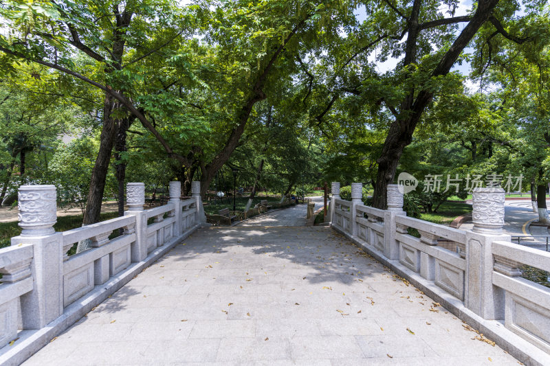 武汉江汉区中山公园风景