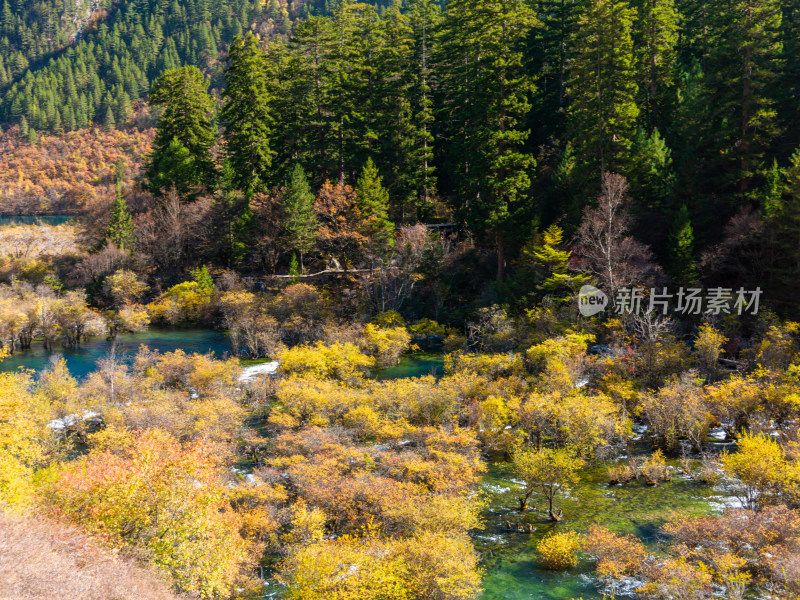 九寨沟秋景