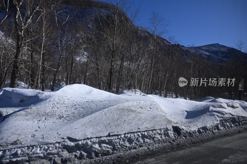 积雪覆盖山路，树木林立的冬日景象