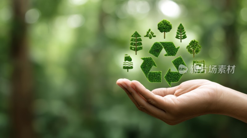 手掌上的绿色生态环保