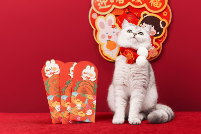 可爱猫咪新年祝福创意素材