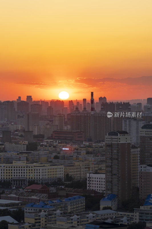 哈尔滨夜景地标性建筑龙塔