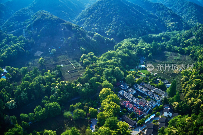 杭州九溪烟树