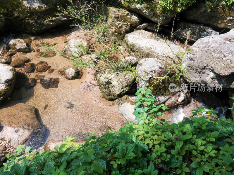 武夷山山间溪流与岩石绿植景观