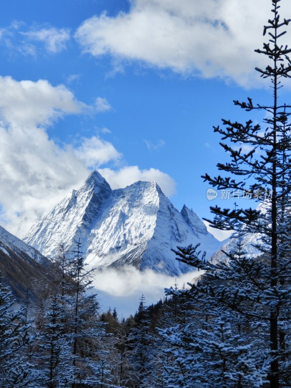 四川阿坝州四姑娘雪山