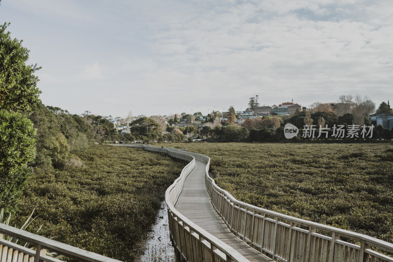 新西兰奥克兰Missionbay天空之塔水观环境