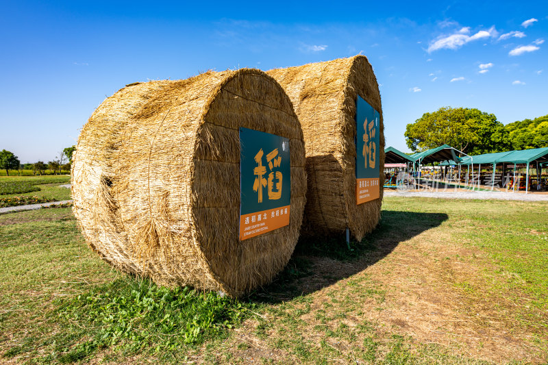 上海嘉定嘉北郊野公园自然田园风光