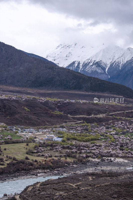 西藏林芝索松村南迦巴瓦峰雪山云海之巅