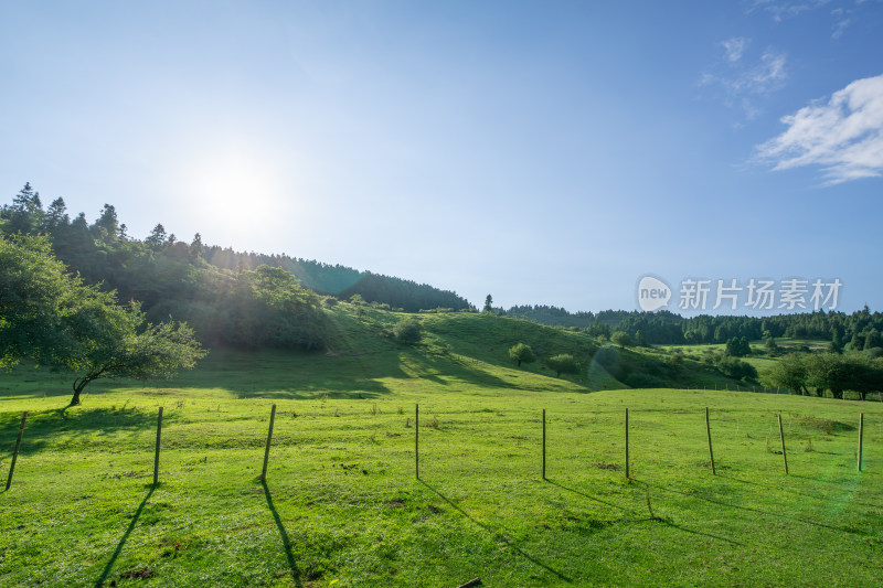 重庆市武隆区仙女山国家森林公园