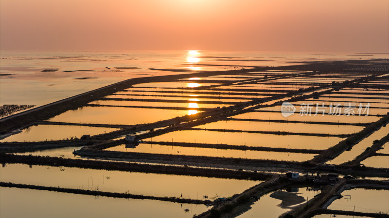 水产养殖：廉江市龙营围万亩虾田