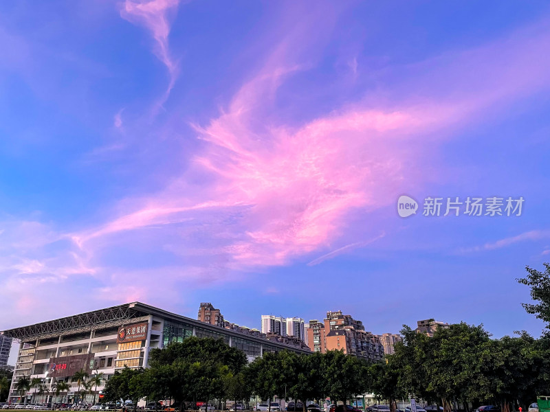 城市建筑在粉色天空下的景象