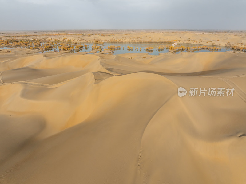 新疆南疆巴州葫芦岛金秋沙漠水上胡杨林航拍