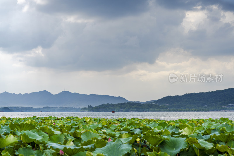 雨后的杭州西湖美景