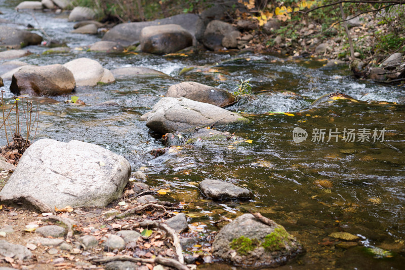 秋季中国北方山区流动的山泉水