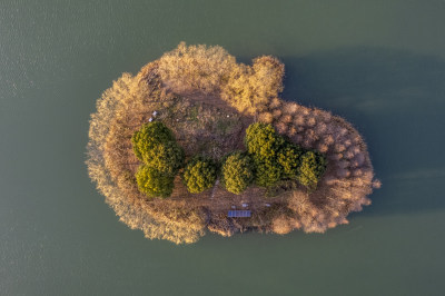 嘉定新城远香湖小岛