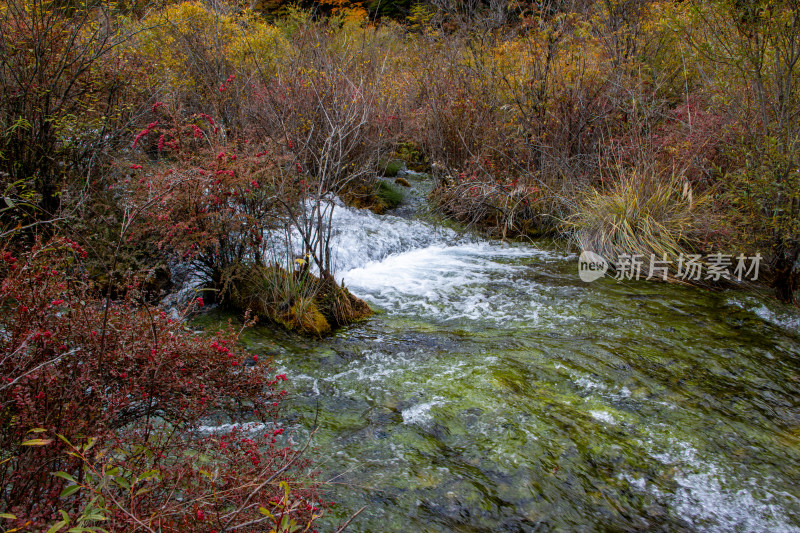 九寨沟秋色，珍珠滩山林清流飞瀑