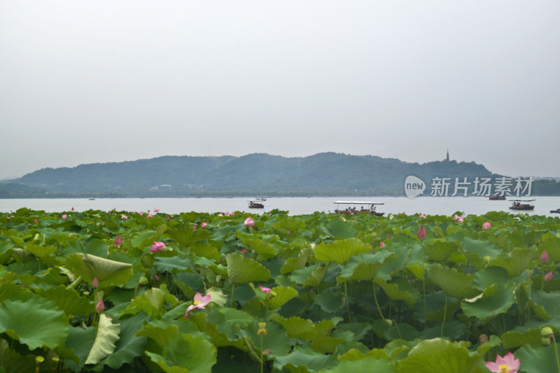 烟雨中的杭州西湖风光