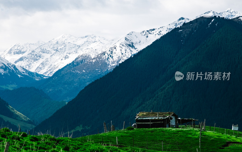 新疆琼库什台雪山下草原上的小木屋