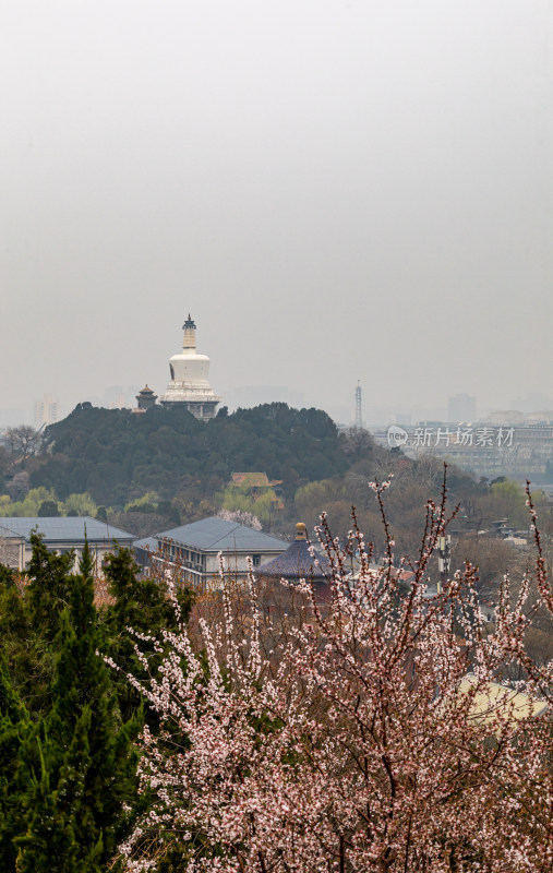 北京景山公园看白塔