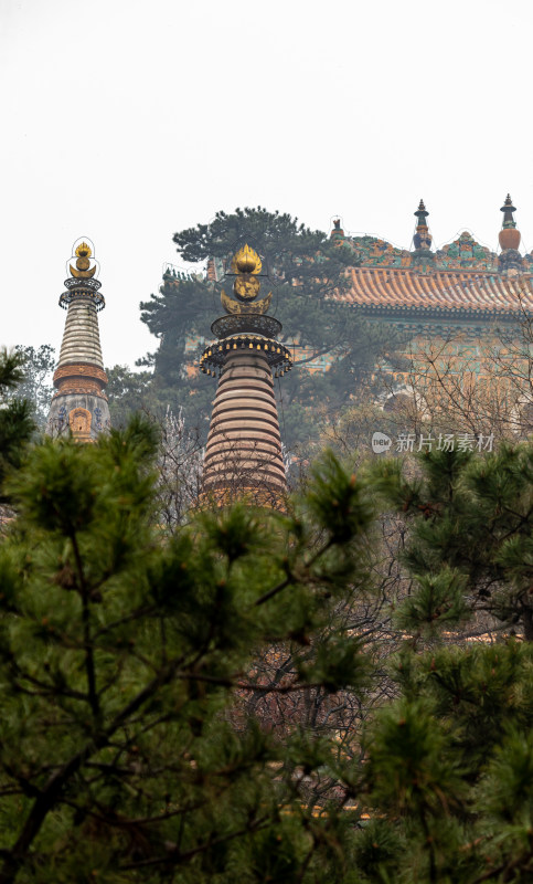 北京颐和园四大部洲景点景观