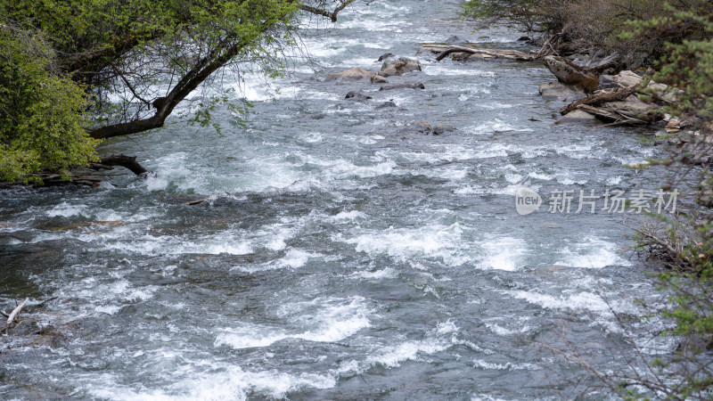 四川阿坝四姑娘山景区里的天然河水