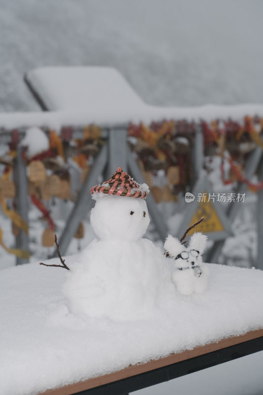 戴帽子的可爱小雪人