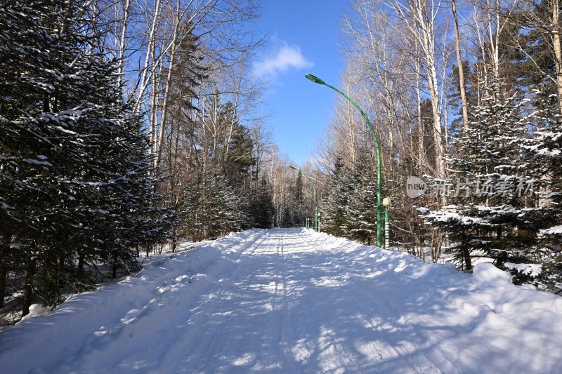 雪后树林中的小路，两旁树木银装素裹